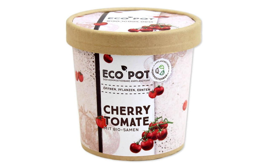 Feel Green EcoPot Cherry Tomate BIO