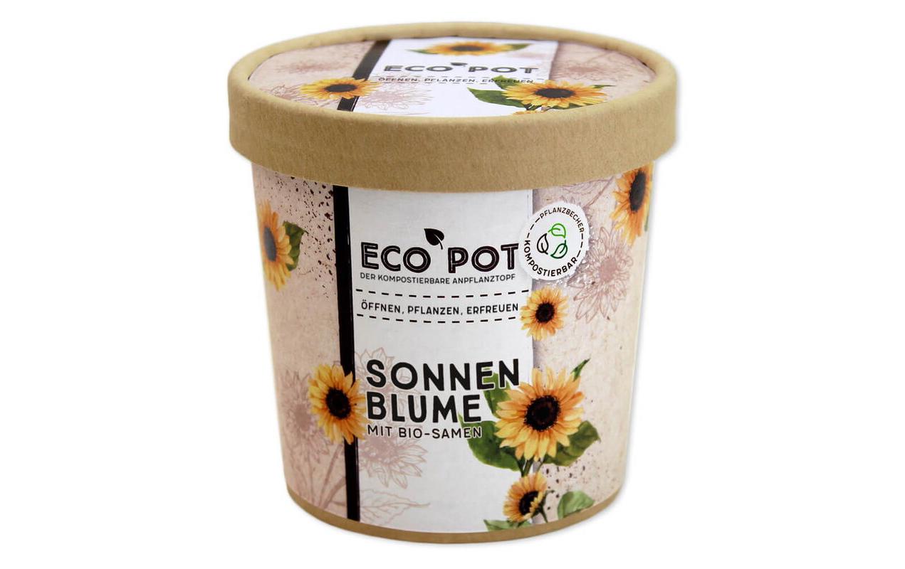 Feel Green EcoPot Sonnenblume BIO