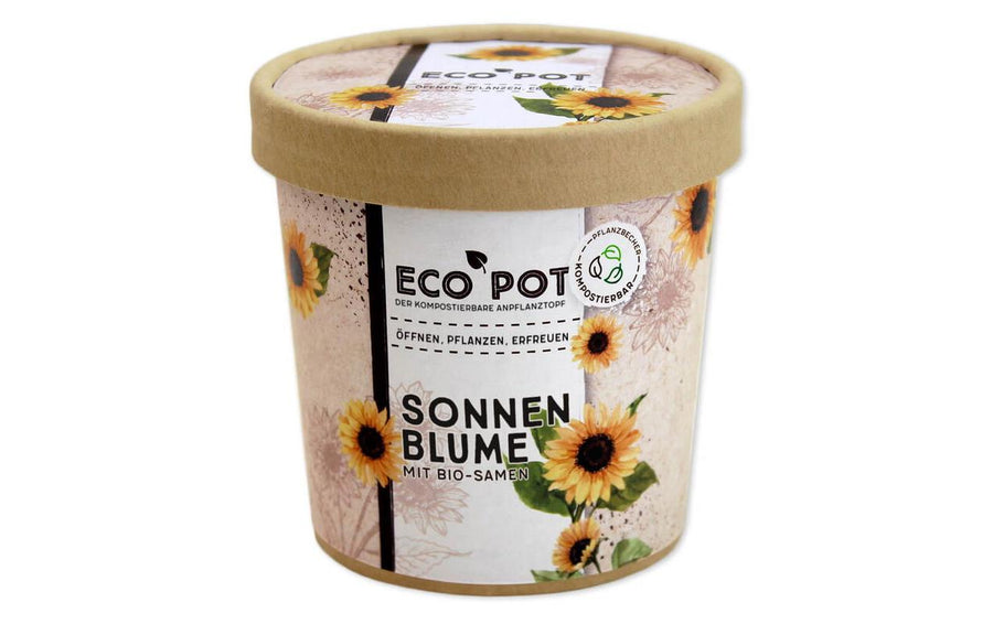 Feel Green EcoPot Sonnenblume BIO