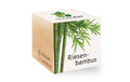 Feel Green Ecocube Riesenbambus