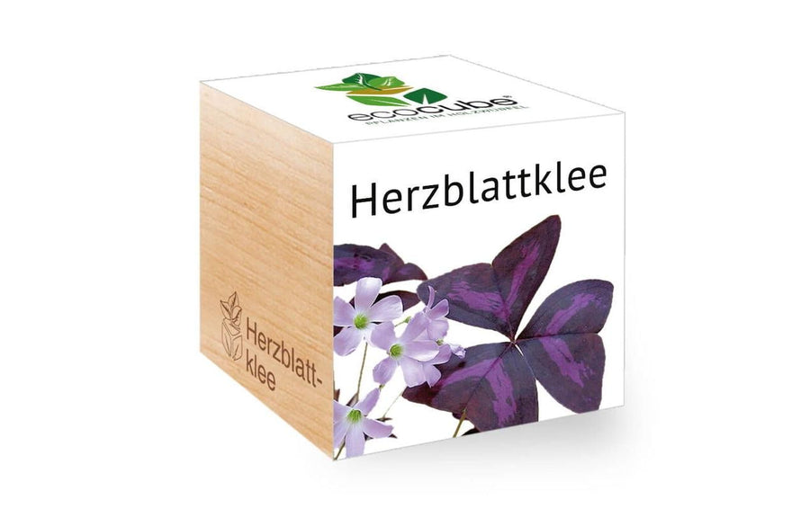 Feel Green Ecocube Herzblattklee