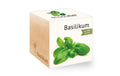Feel Green Ecocube Basilikum BIO