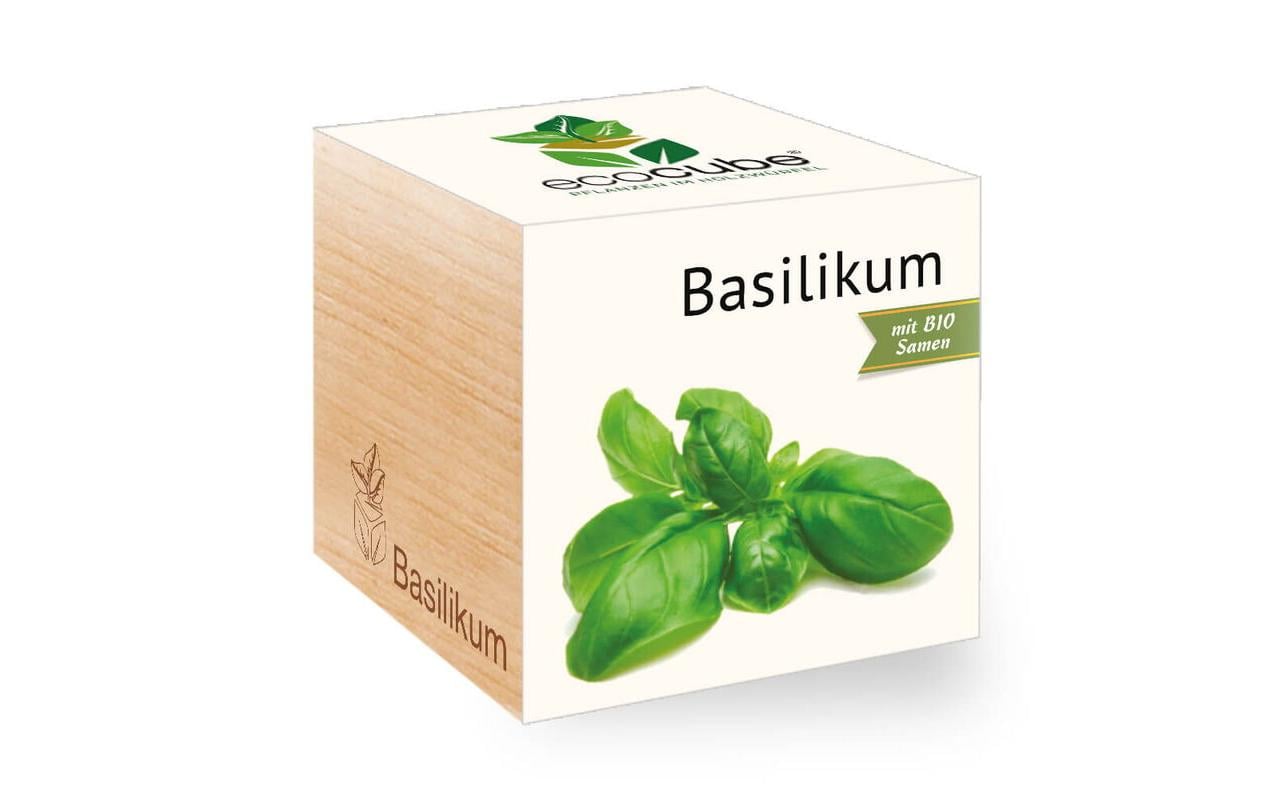 Feel Green Ecocube Basilikum BIO