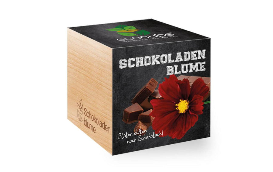 Feel Green Ecocube Schokoladenblume