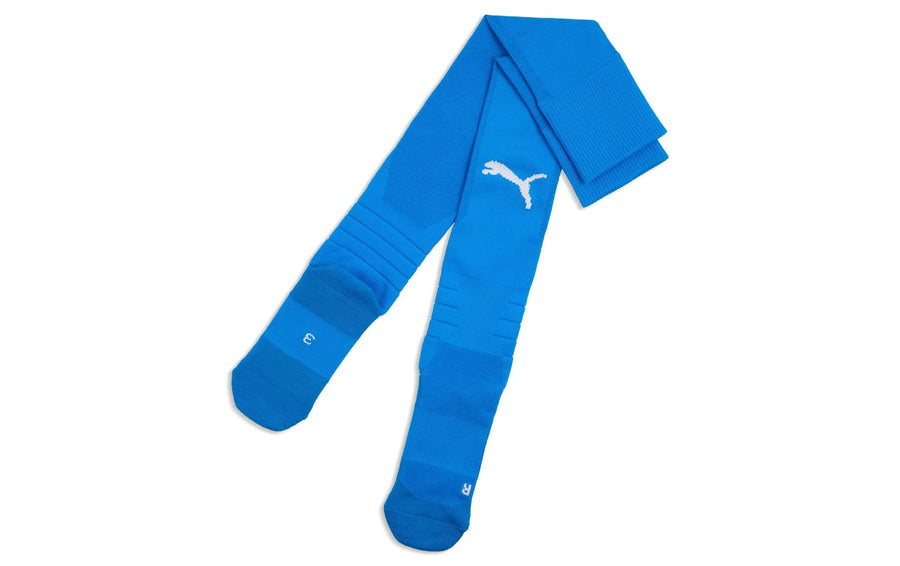PUMA teamLIGA26 Socks