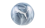 PUMA Fussball Final Graphic , 4