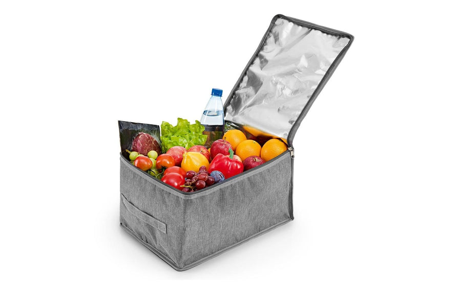 EASYmaxx Kühltasche 21 l grau
