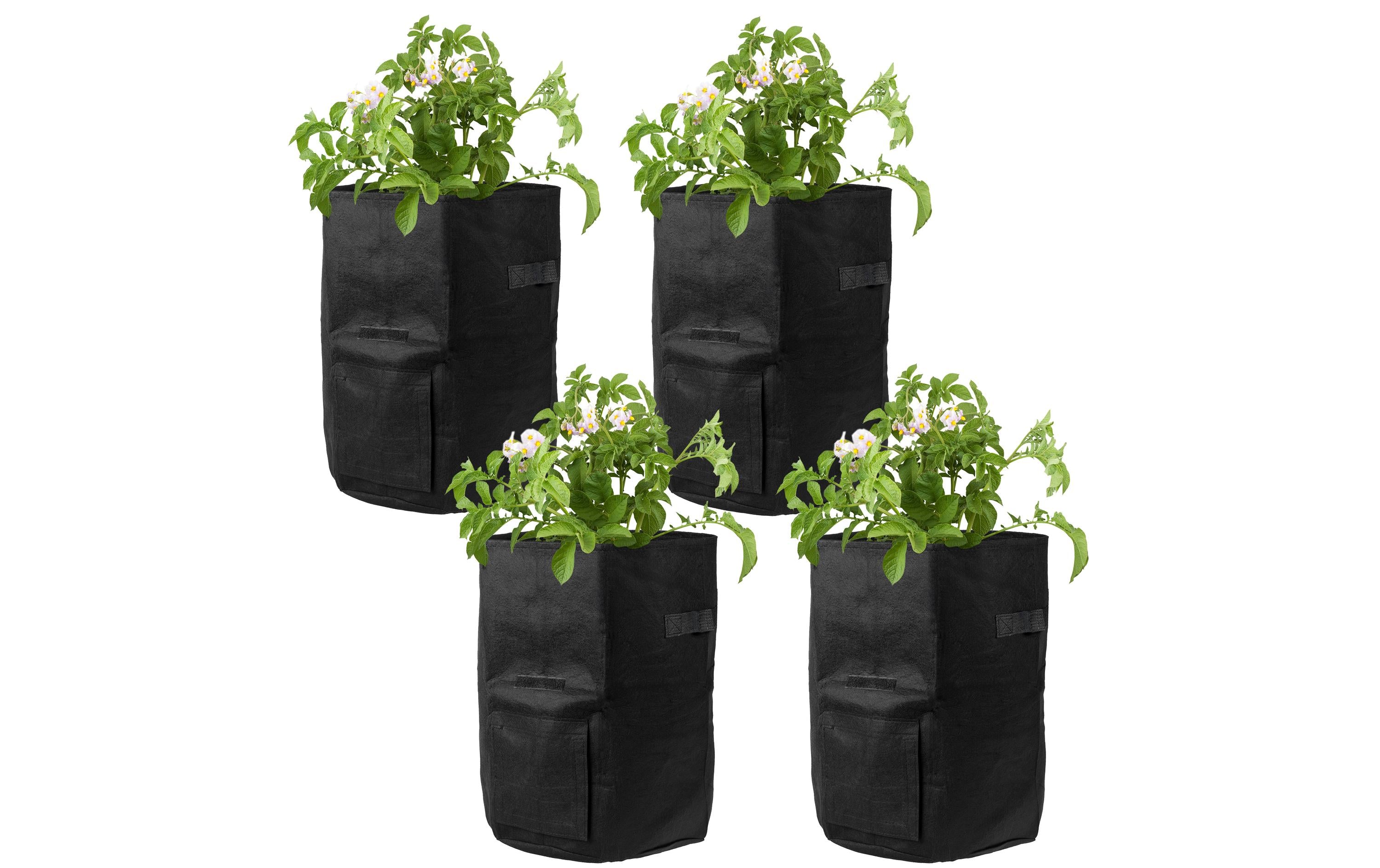 STRUCT Pflanzentasche Schwarz Filz 4er Set für Pflanzen Garten & Outdoor > Pflanzen > Pflanzengefäße STRUCT