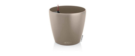 Lechuza CLASSICO Color 18 Sandbraun