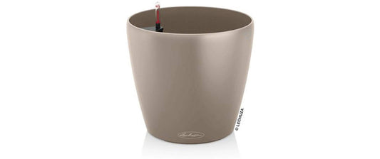 Lechuza CLASSICO Color 21 Sandbraun