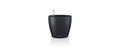 Lechuza CLASSICO Color 14