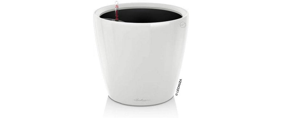 Lechuza CLASSICO Premium LS 43