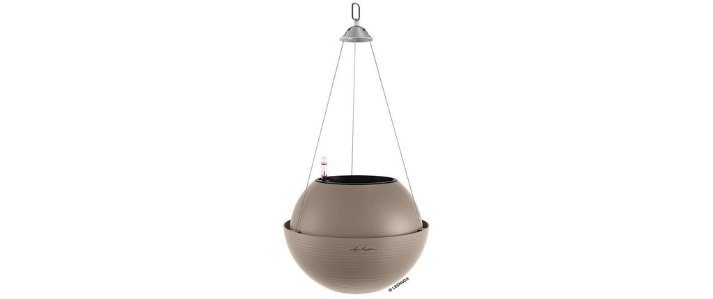 Lechuza BOLA Color 32