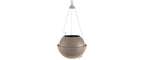 Lechuza BOLA Color 32