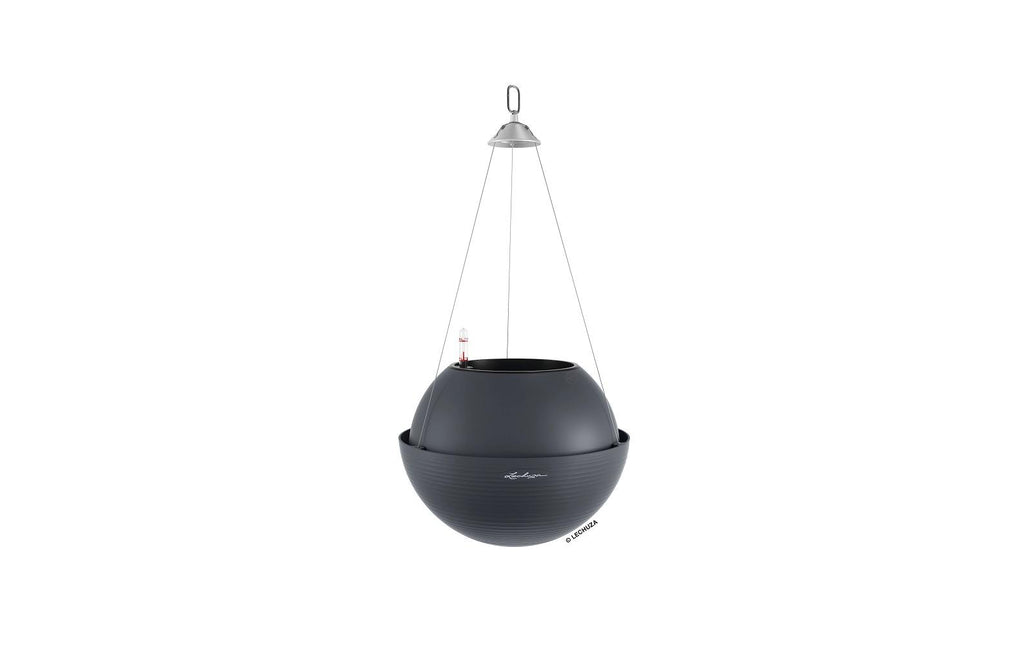 Lechuza BOLA Color 32