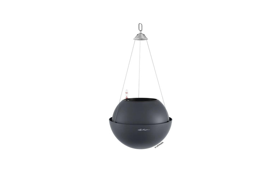Lechuza BOLA Color 32