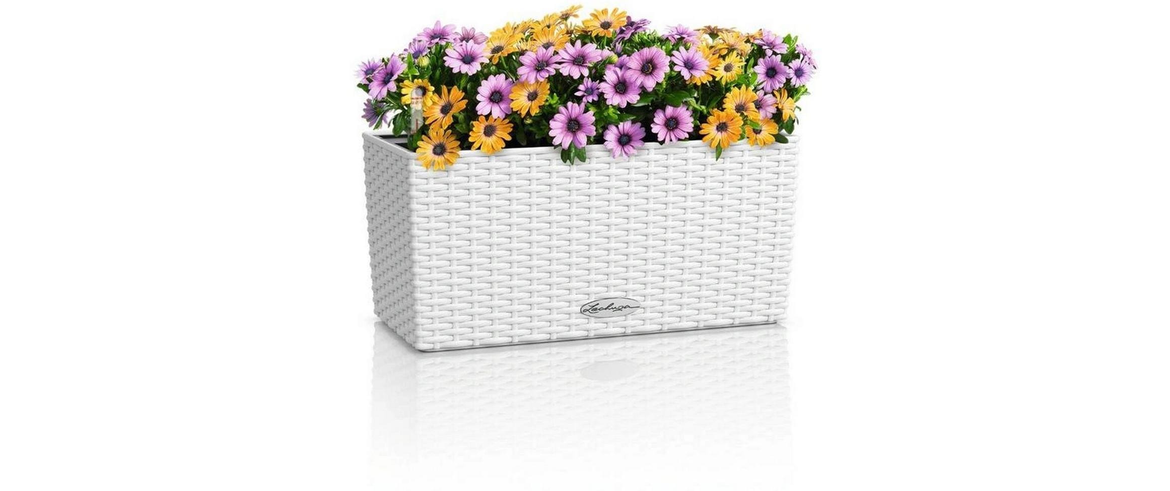 Lechuza Pflanzkasten Wetterfest Weiß 40 cm mit Bewässerungssystem Garten & Outdoor > Pflanzen > Pflanzengefäße Lechuza