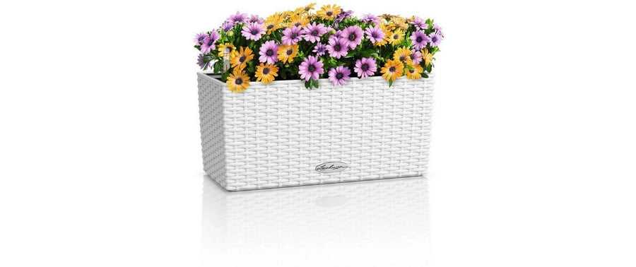 Lechuza Pflanzkasten Wetterfest Weiß 40 cm mit Bewässerungssystem Garten & Outdoor > Pflanzen > Pflanzengefäße Lechuza