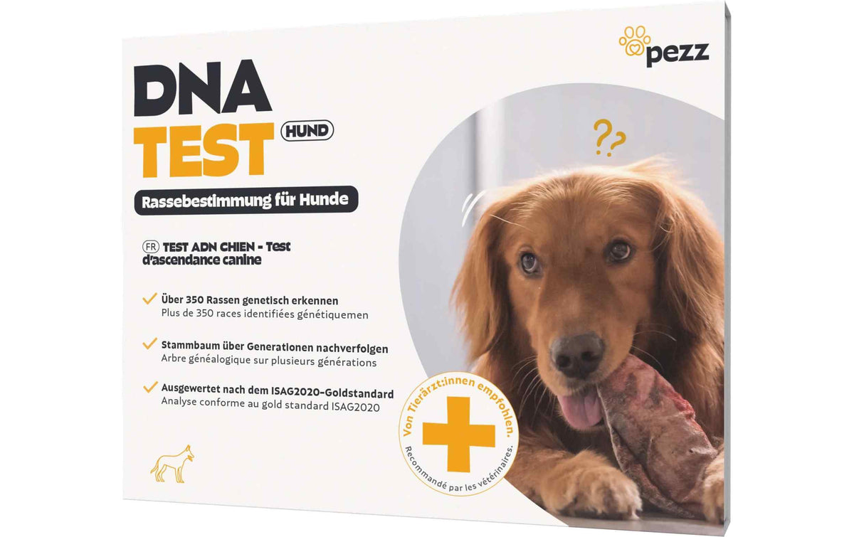 pezz DNA-Test Rassebestimmung für Hunde