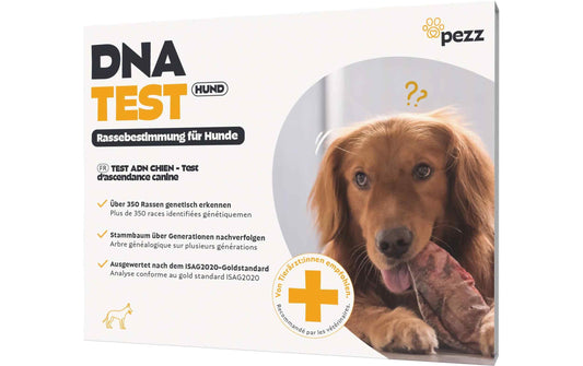pezz DNA-Test Rassebestimmung für Hunde