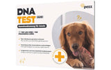 pezz DNA-Test Rassebestimmung für Hunde