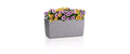 Lechuza BALCONERA Stone Pflanzkasten Kunststoff Steingrau 40 cm Garten & Outdoor > Pflanzen > Pflanzengefäße Lechuza