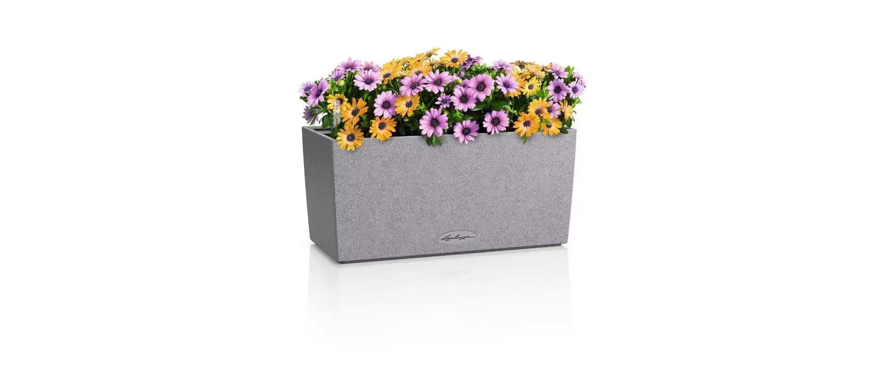 Lechuza BALCONERA Stone Pflanzkasten Kunststoff Steingrau 40 cm Garten & Outdoor > Pflanzen > Pflanzengefäße Lechuza