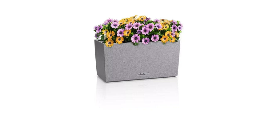 Lechuza BALCONERA Stone Pflanzkasten Kunststoff Steingrau 40 cm Garten & Outdoor > Pflanzen > Pflanzengefäße Lechuza