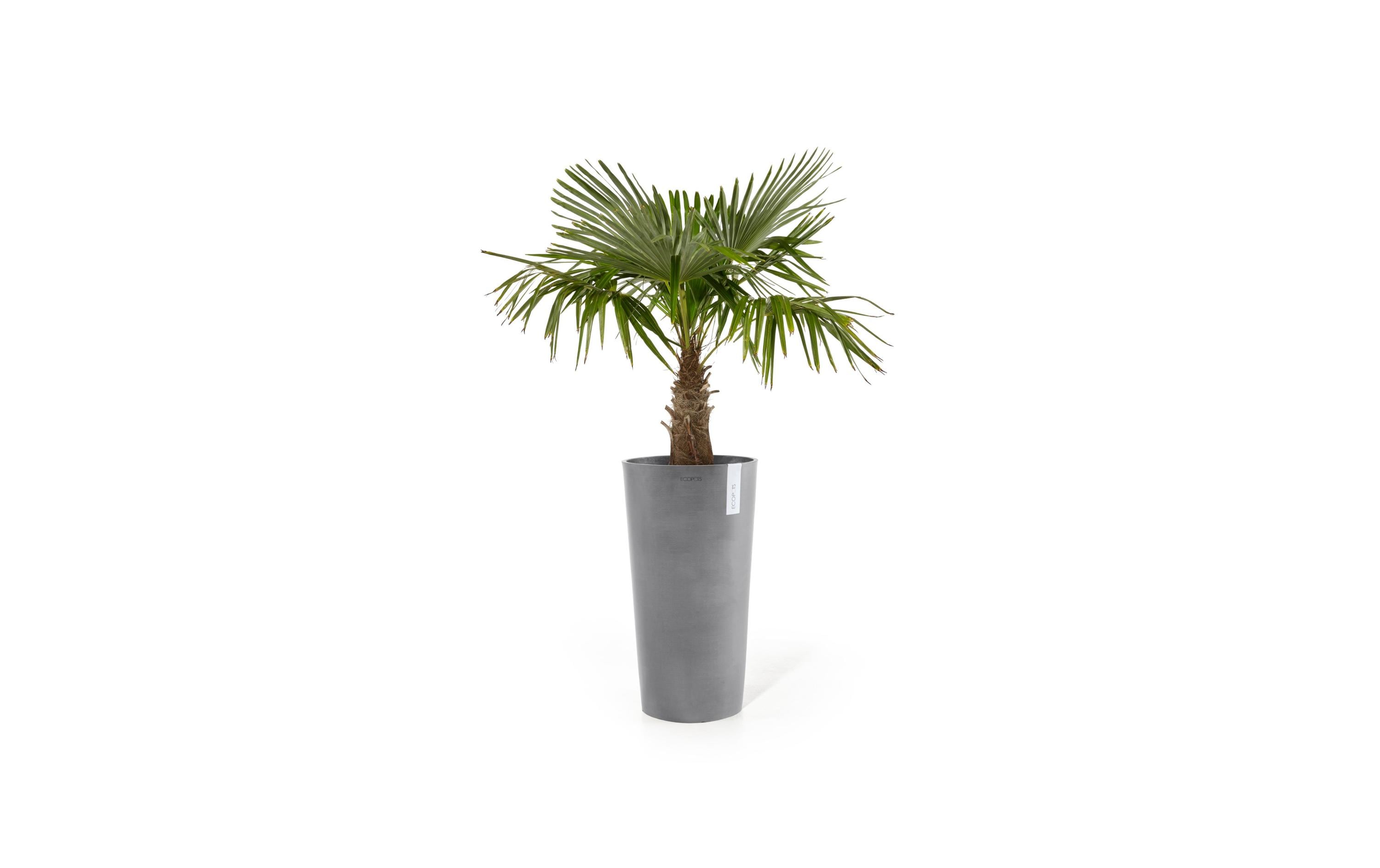 Ecopots Blumentopf Amsterdam High Hellgrau 76 cm aus recyceltem Kunststoff Garten & Outdoor > Pflanzen > Pflanzengefäße Ecopots