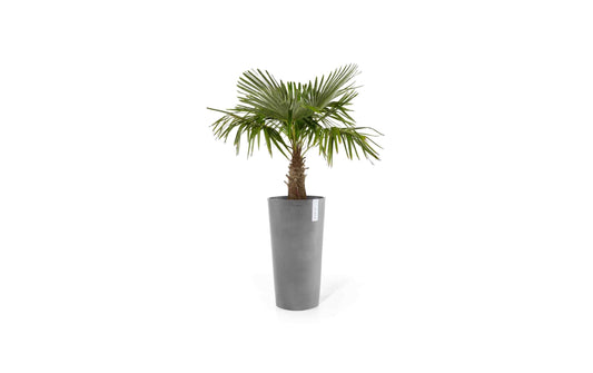 Ecopots Blumentopf Amsterdam High Ø 76 cm Hellgrau