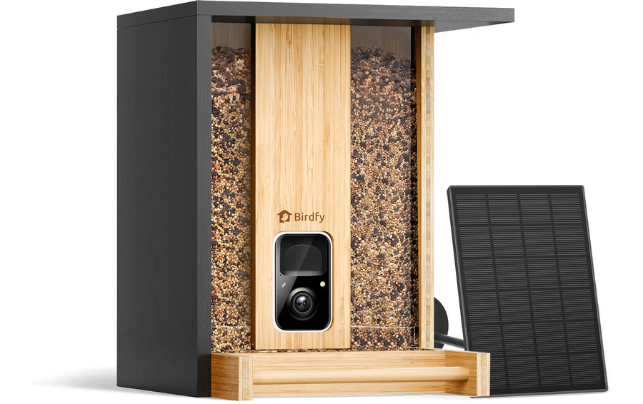 Birdfy Vogelhaus mit Kamera 1080p