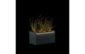 Herstera Metall-Pflanzgefäss Anthrazit 100x50x50 cm Garten & Outdoor > Pflanzen > Pflanzengefäße Herstera