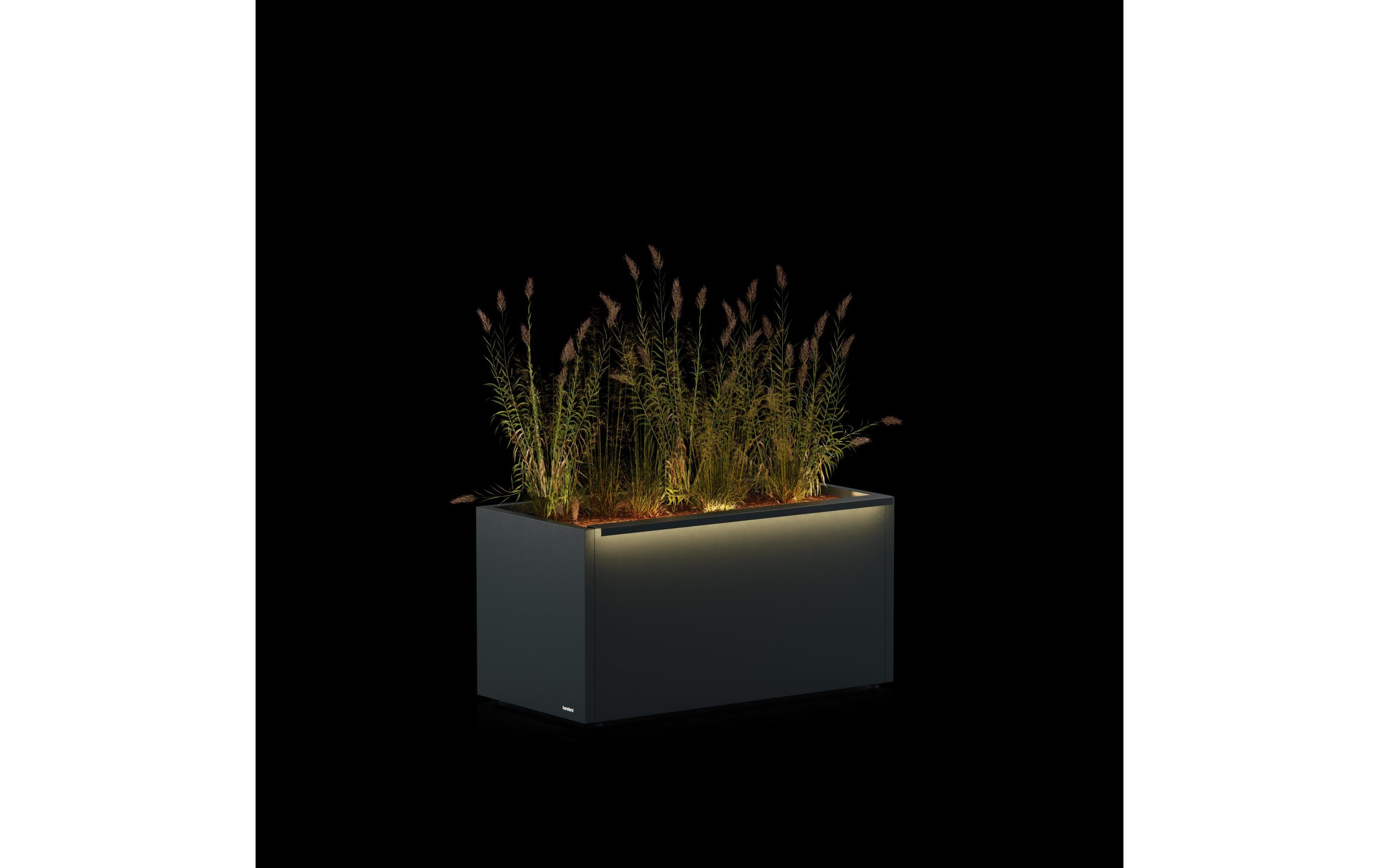 Herstera Metall-Pflanzgefäss Anthrazit 100x50x50 cm Garten & Outdoor > Pflanzen > Pflanzengefäße Herstera