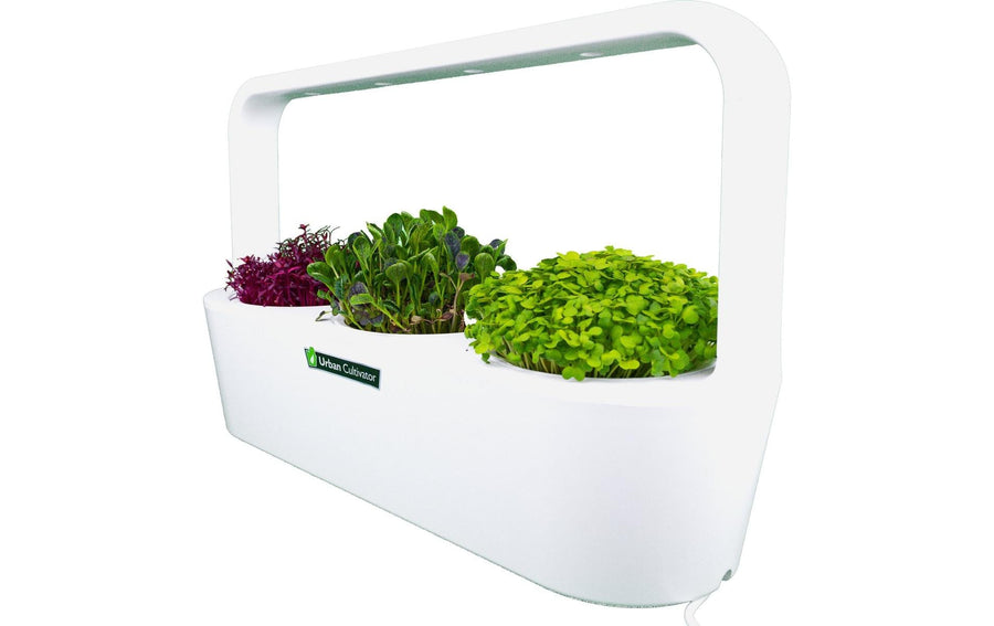 Click and Grow Indoor-Garten MicroBuddy Kunststoff Weiß 38 cm Garten & Outdoor > Pflanzen > Pflanzengefäße Click and Grow