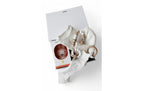 Oykami Baby Geschenkbox «Ascona» Miffy