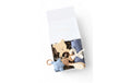 Oykami Baby Geschenkbox «Helsinki» Bär Blau