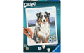 Ravensburger Malen nach Zahlen Australian Shepherd Merlin 400 x 500 mm