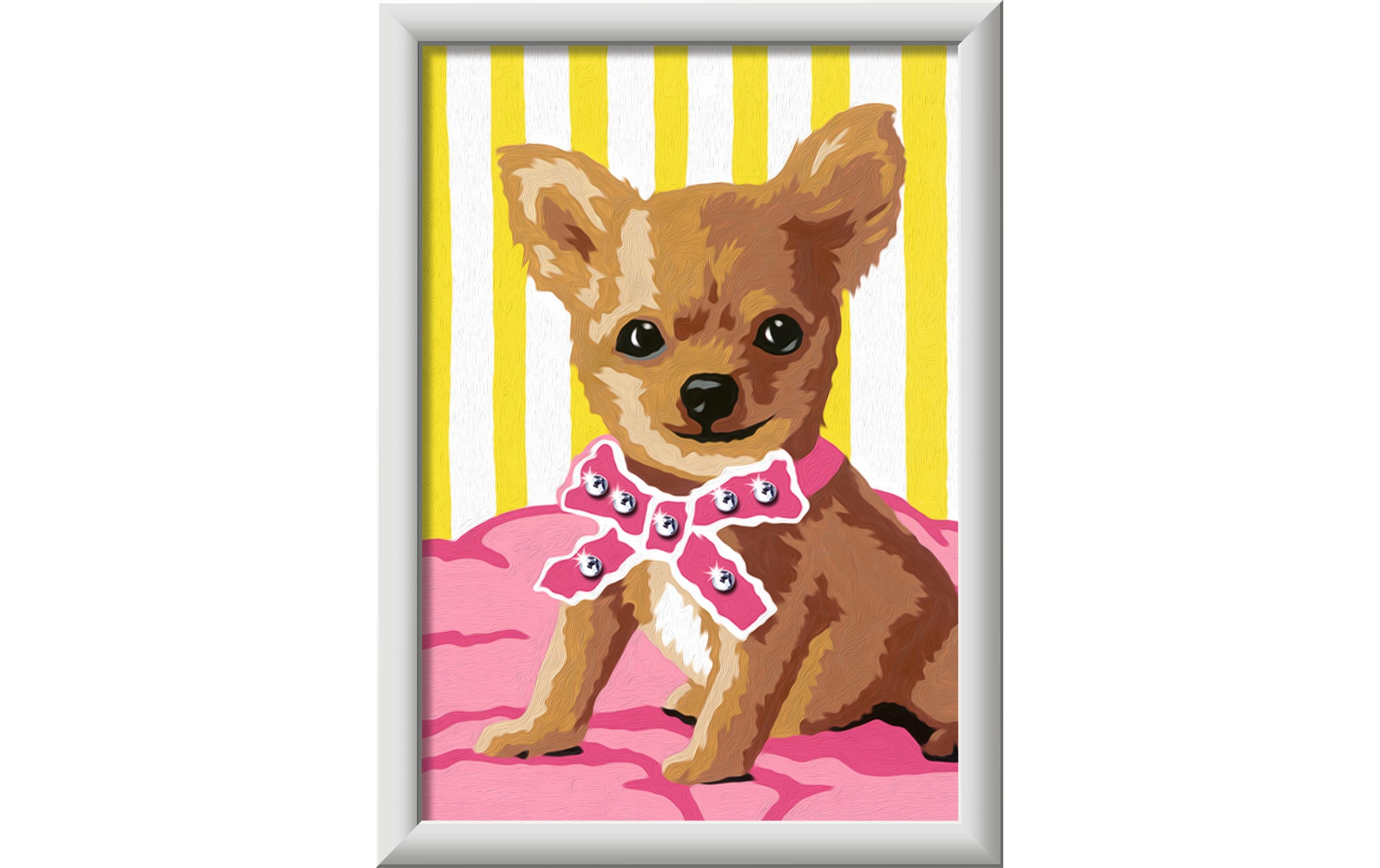 Ravensburger Malen nach Zahlen CreArt Kleiner Chihuahua 14 x 19 cm