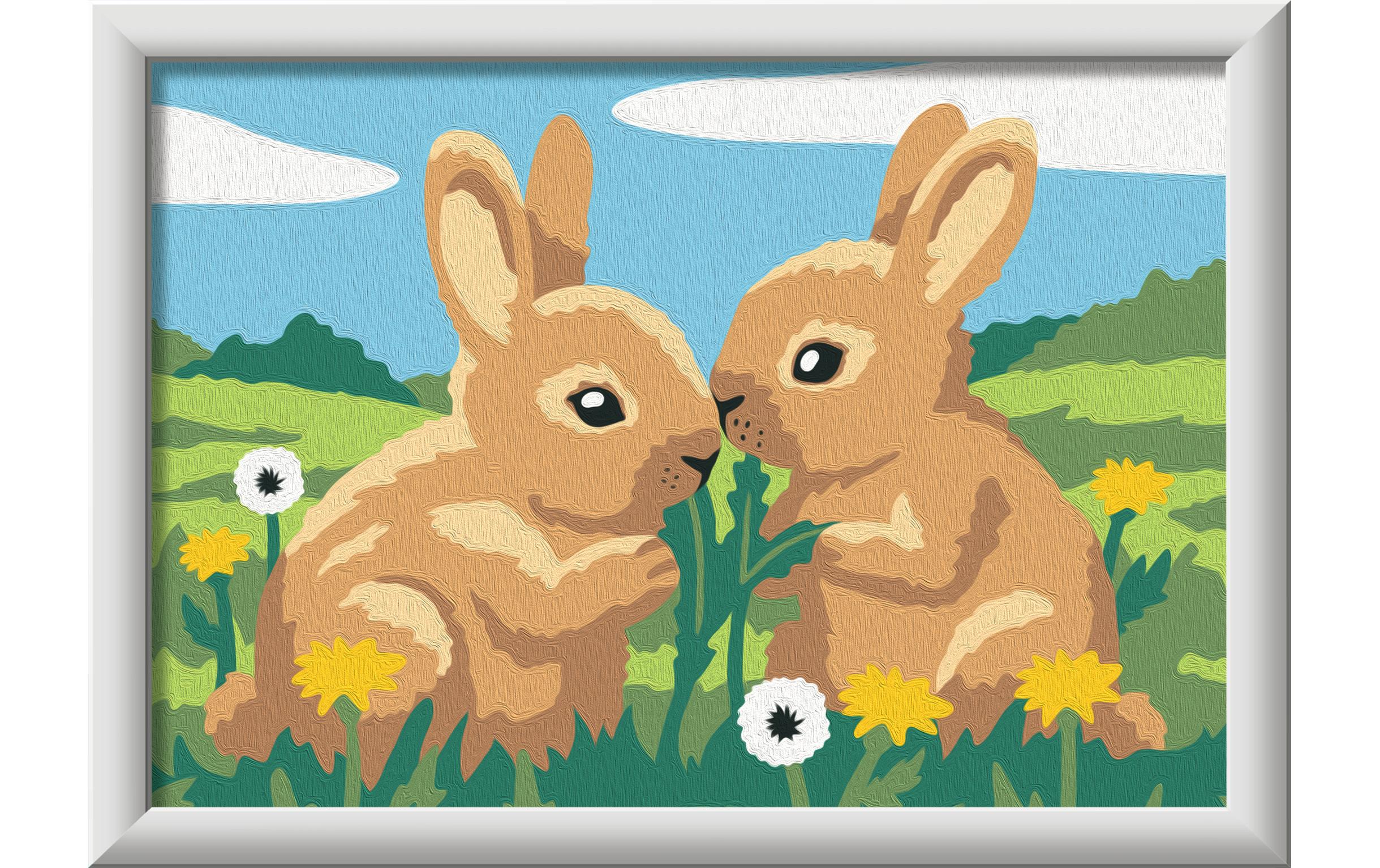 Ravensburger Malen nach Zahlen Malset Kaninchen ab 7 Jahren