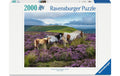 Ravensburger Puzzle Wildpferde in der Heide 2000 Teile 98 x 75 cm
