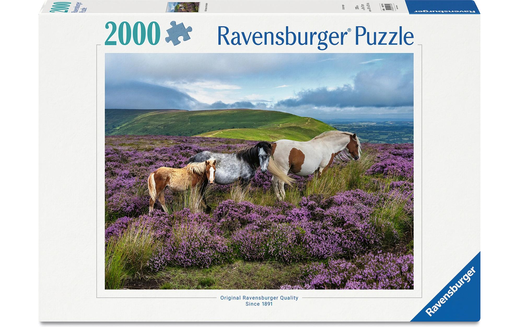 Ravensburger Puzzle Wildpferde in der Heide 2000 Teile 98 x 75 cm