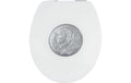 diaqua® Toilettensitz Gondo Silber/Weiss
