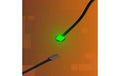 Light My Bricks 2.0 Astro LED Gross Grün 30 cm Flachkabel