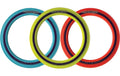 Aerobie Ring Sprint