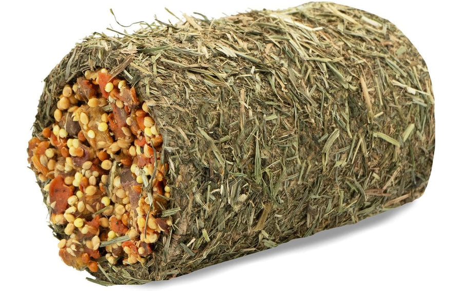 JR Farm Heu-Schlemmertunnel Karotte 125 g