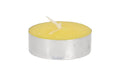 Esschert Citronella Teelichter Set/10 S