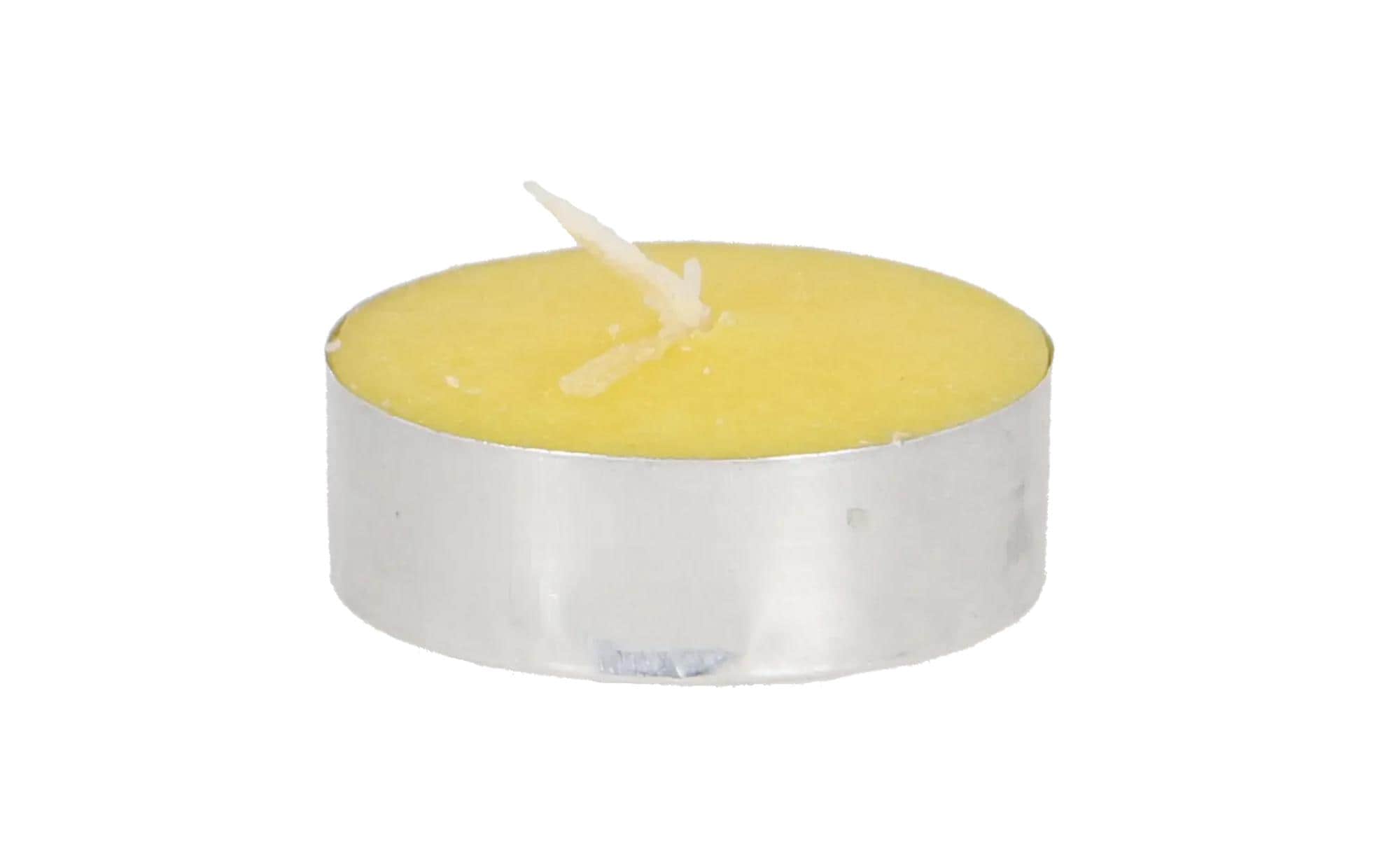 Esschert Citronella Teelichter Set/10 S