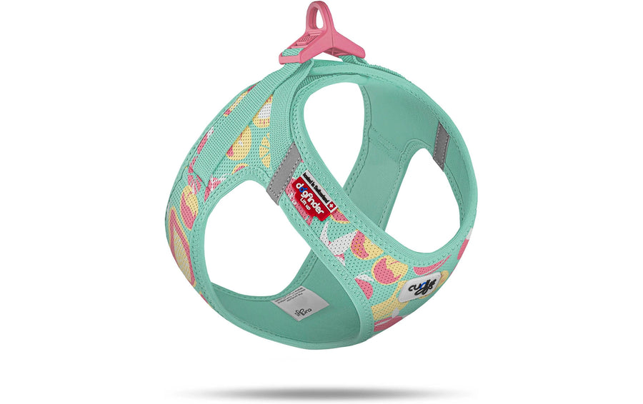 curli Geschirr Vest Air-Mesh LE26 L Juicy Fruits Türkis