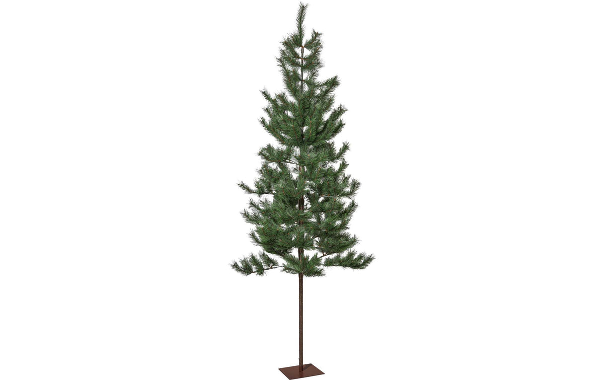 Star Trading Weihnachtsbaum Tallis Indoor, Grün, 200.00 cm Höhe