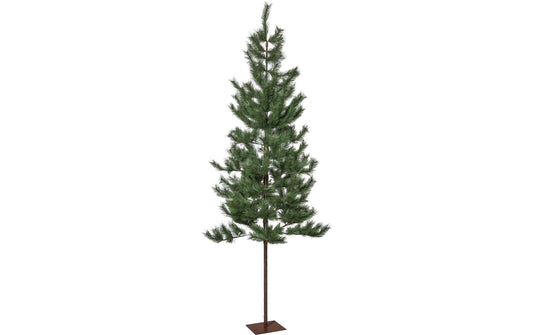 Star Trading Weihnachtsbaum Tallis Indoor, Grün, 200.00 cm Höhe